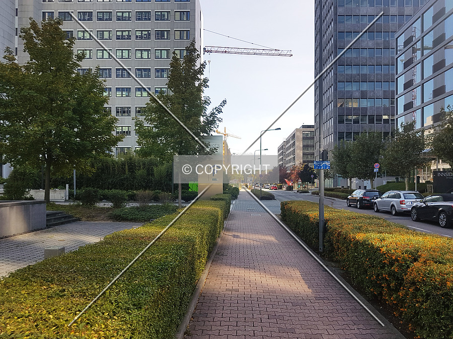 Herriot´s by Nephilim