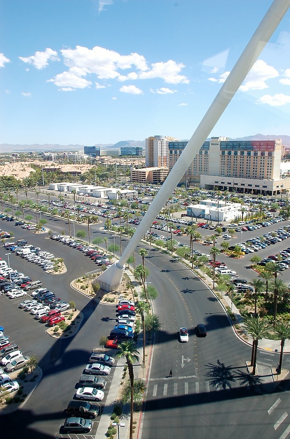 High Roller by Brian LoBue