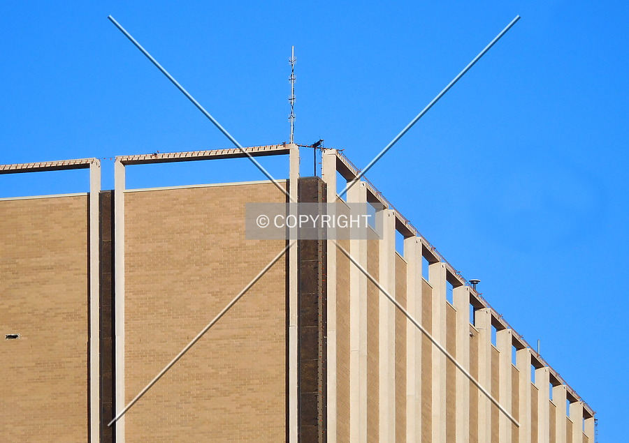 Odessa City Hall by Chris Patriarca