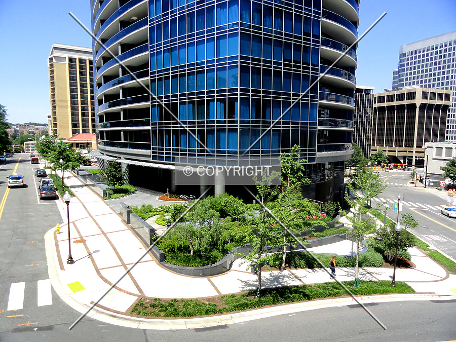 Turnberry Tower by Chris Patriarca