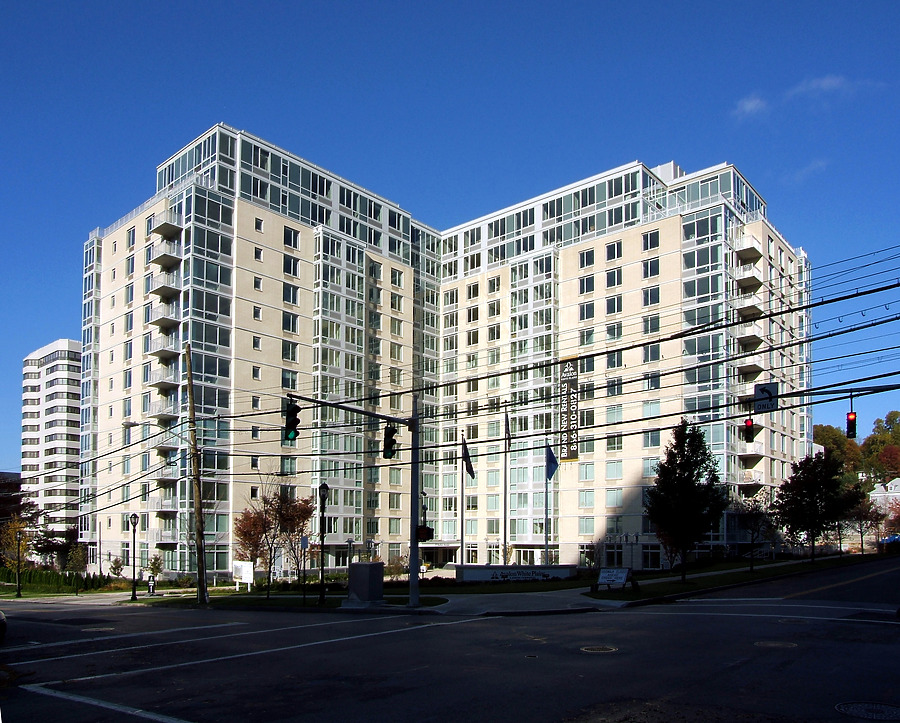 Avalon White Plains by John Cahill