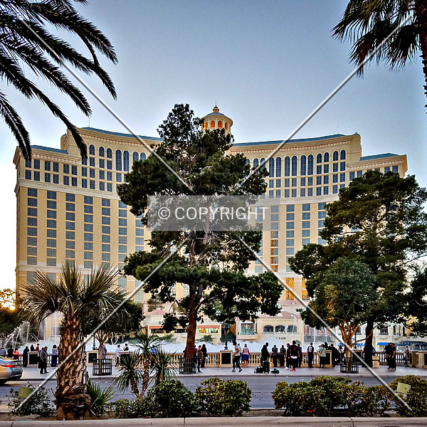 Bellagio Resort & Casino by Ryan Hildebrand