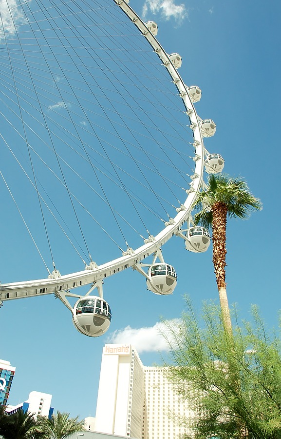 High Roller by Brian LoBue