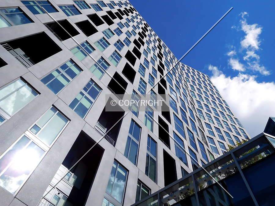 Vita by Chris Patriarca