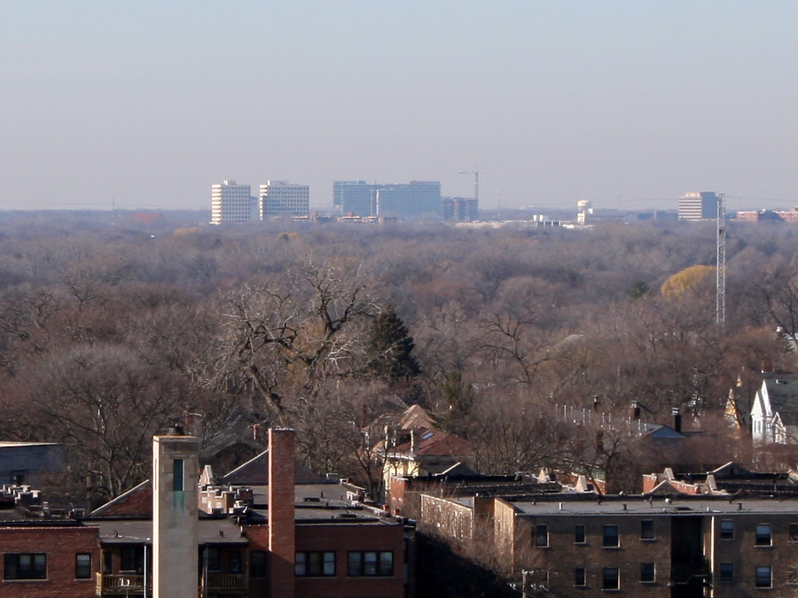 Optima Old Orchard Woods by Daniel Kieckhefer