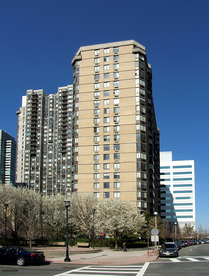 The George Washington by John Cahill