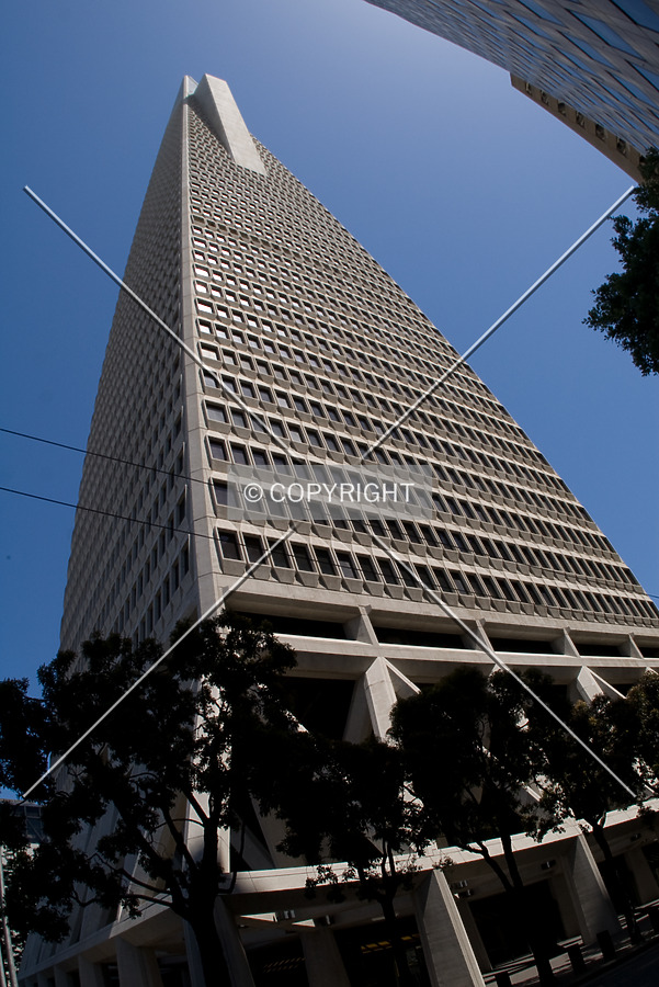 Transamerica Pyramid by Martin Bugajski