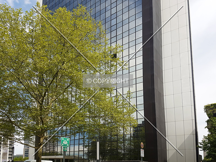 Ruby Tower by Nephilim