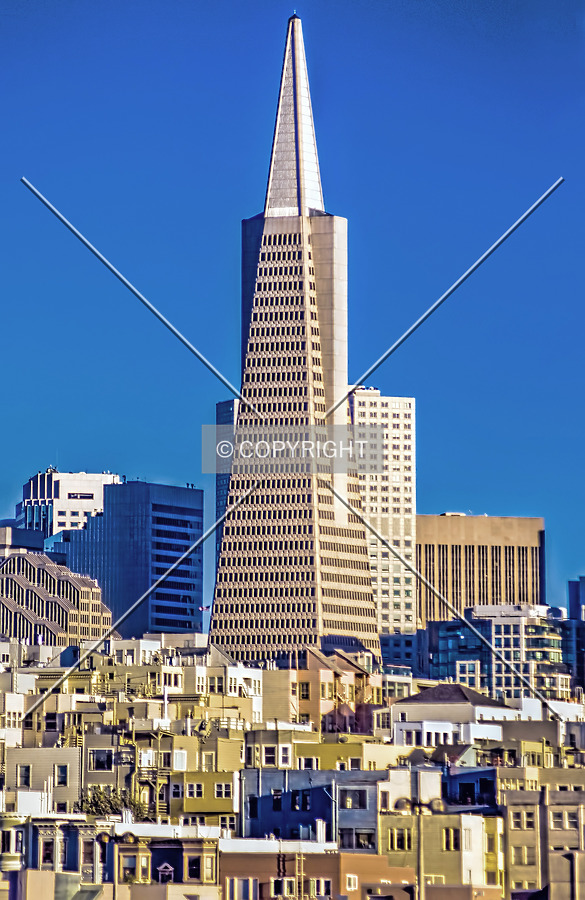 Transamerica Pyramid by Jorge Molina