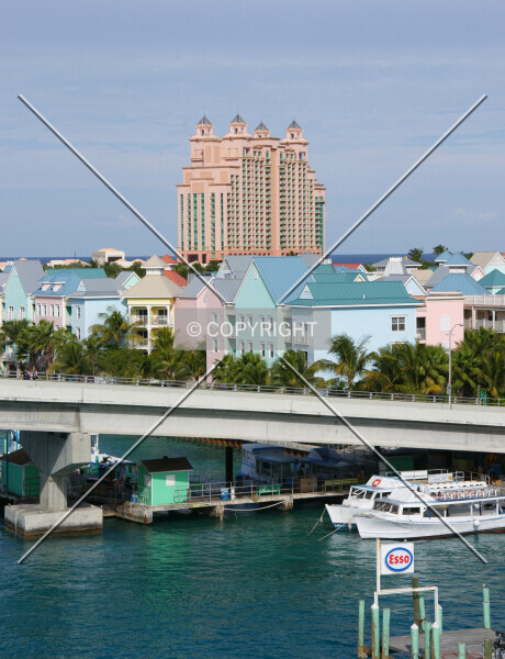 The Cove Atlantis