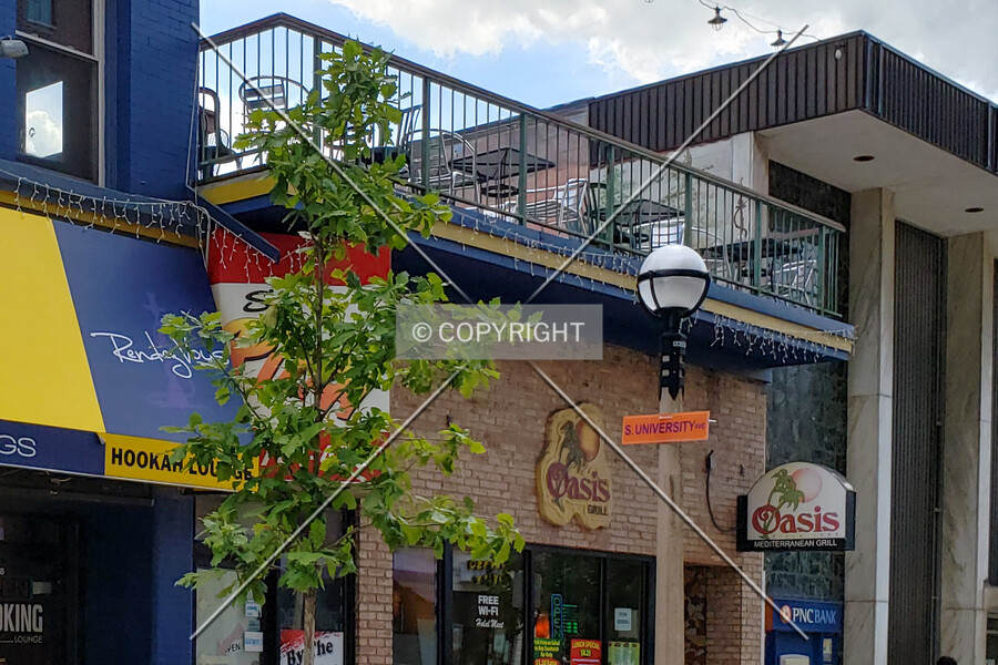 Oasis Grill