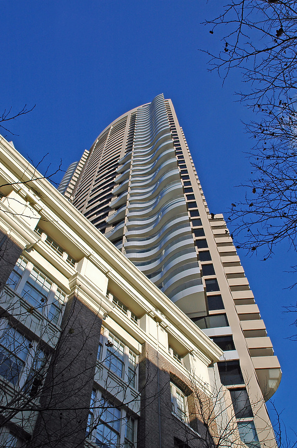 The Cove by John Bek