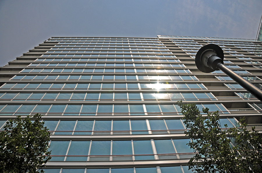 Optima Old Orchard Woods by Shawn Ursini