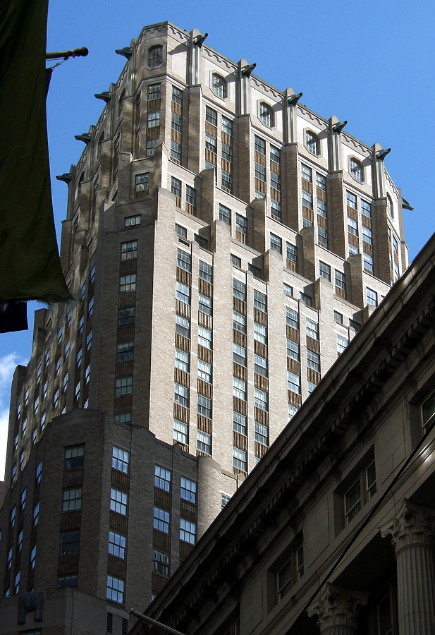 The Crest by John Cahill