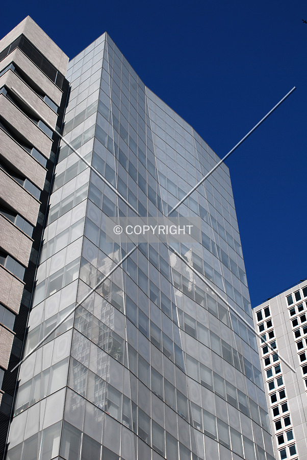 Weill Greenberg Center, Weill Cornell Medical College by Royce Douglas