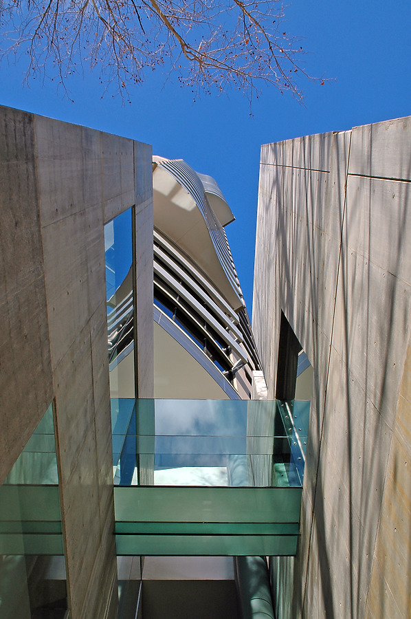 The Cove by John Bek