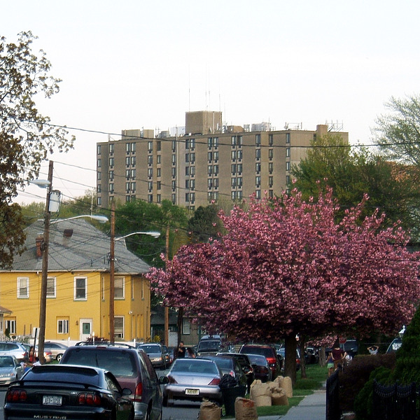 Elizabeth Towers by John Cahill
