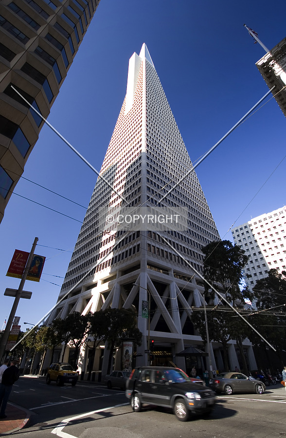 Transamerica Pyramid by Serdica