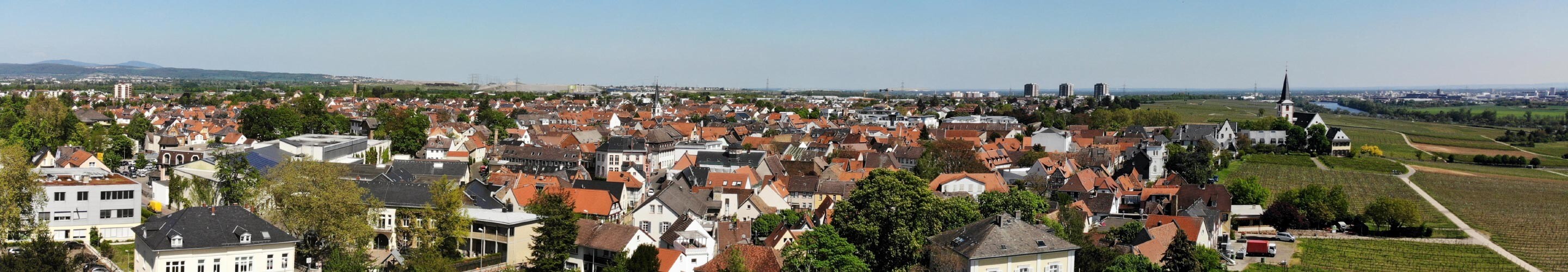 Panorama of Hochheim am Main