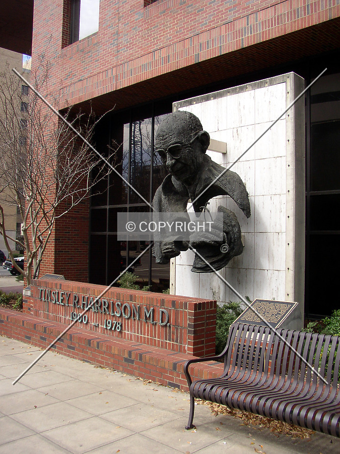 Tinsley Harrison Research Tower by Chris Patriarca