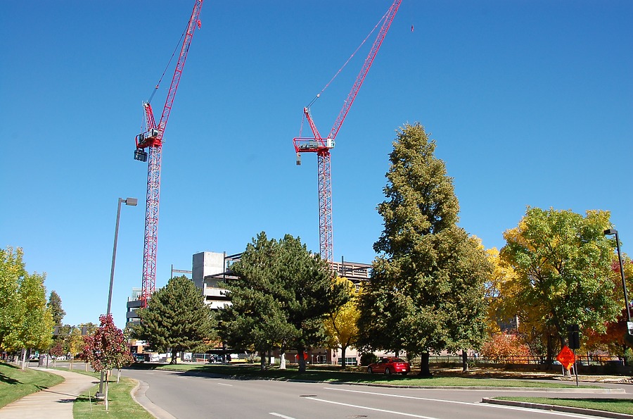 50 Fifty DTC by Brian LoBue