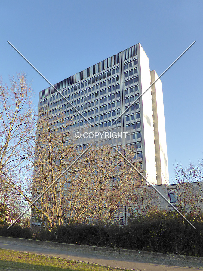 Hochhaus im Tulpenfeld by Nephilim