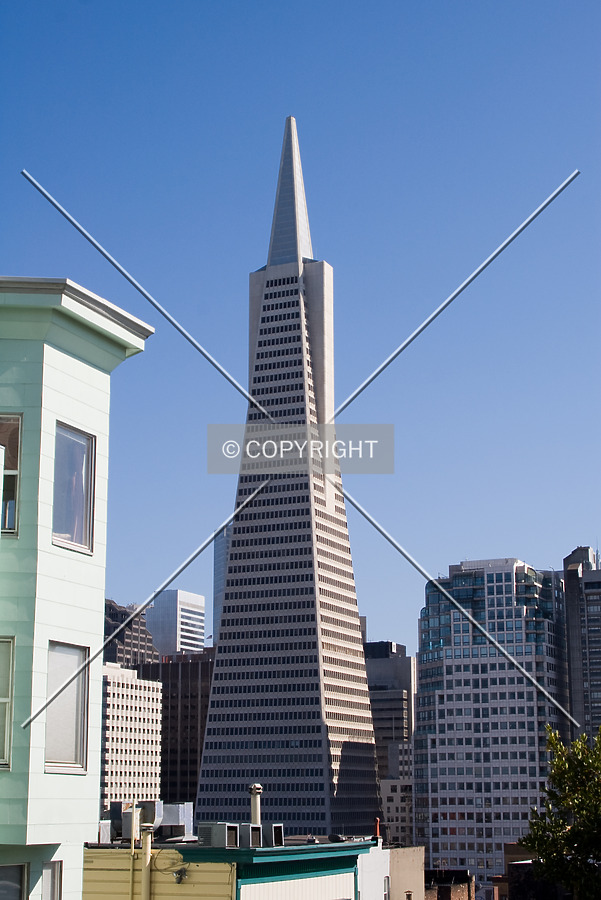 Transamerica Pyramid by Martin Bugajski