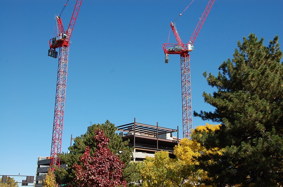 50 Fifty DTC by Brian LoBue