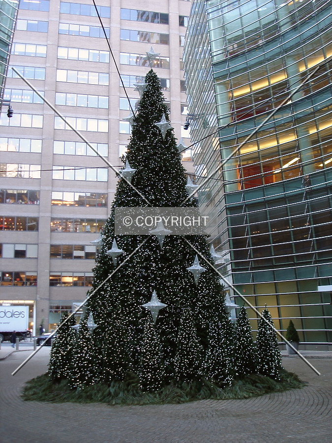 Bloomberg Tower by Royce Douglas