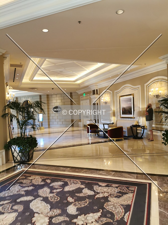 Bellagio Resort & Casino by Nephilim