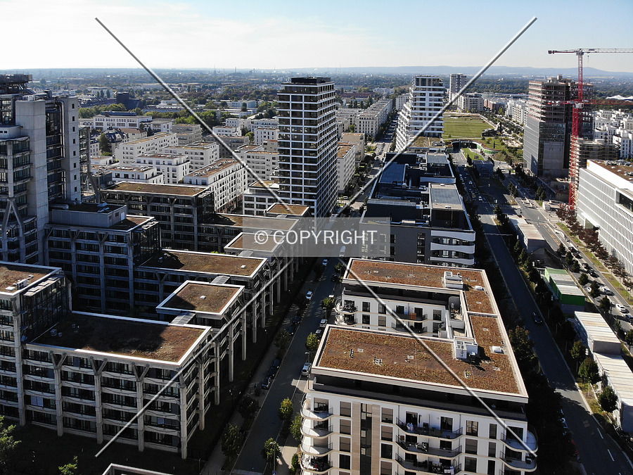 SOLID Home by Nephilim