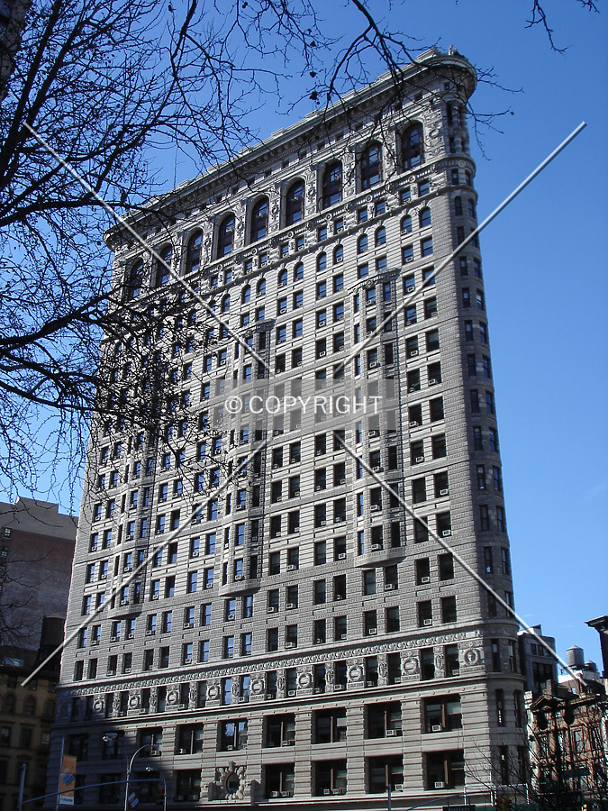 Flatiron Building by Royce Douglas