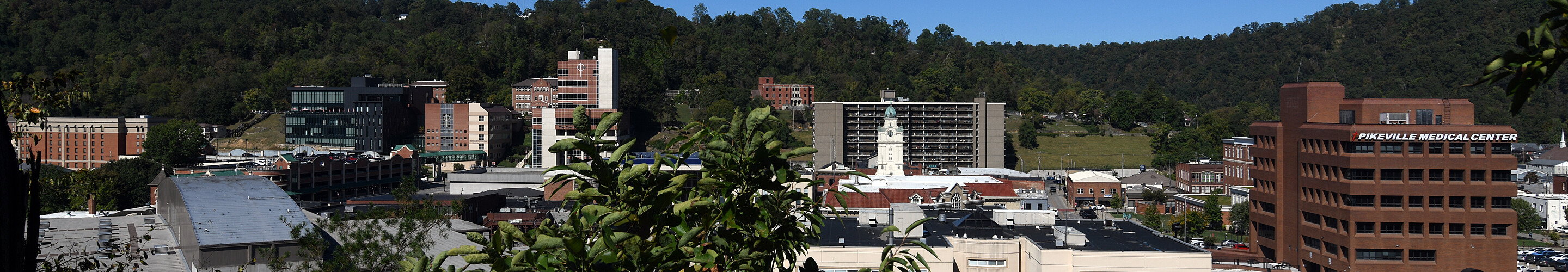 View from the southeast