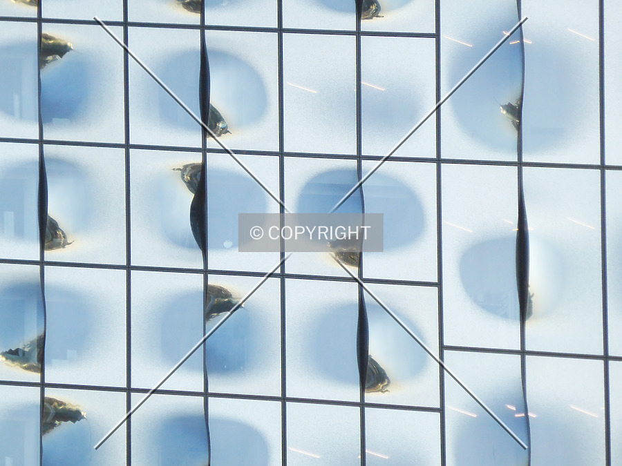 Elbphilharmonie by Nephilim