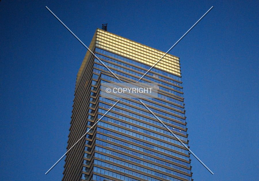 Bloomberg Tower by Royce Douglas