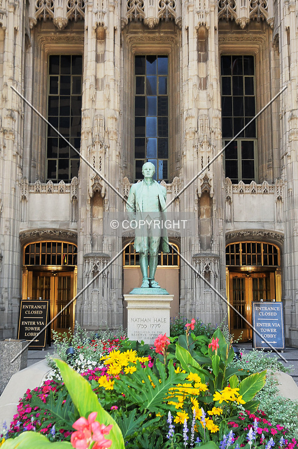 Tribune Tower by Jorge Molina