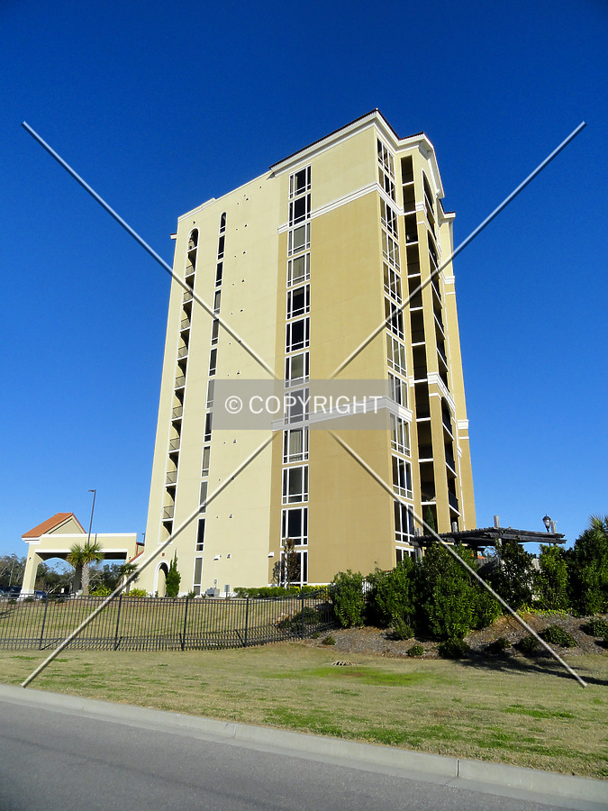 Sienna on the Coast by Chris Patriarca