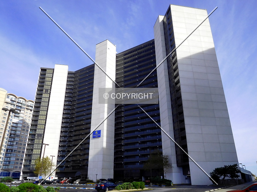 Golden Sands by Chris Patriarca