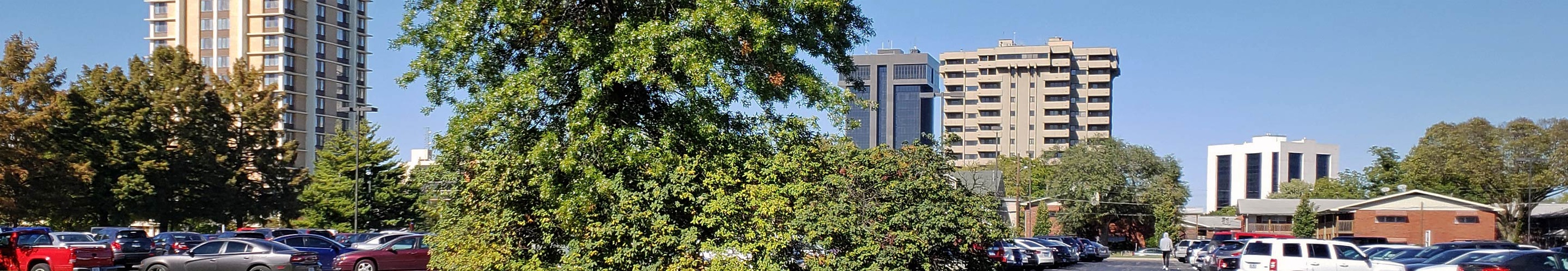 Panorama of Springfield