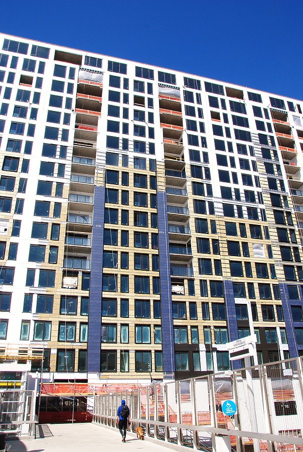 The Coloradan by Brian LoBue