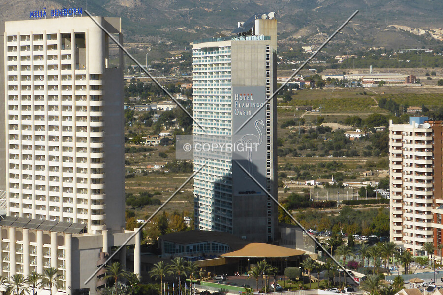 Hotel Flamingo Oasis