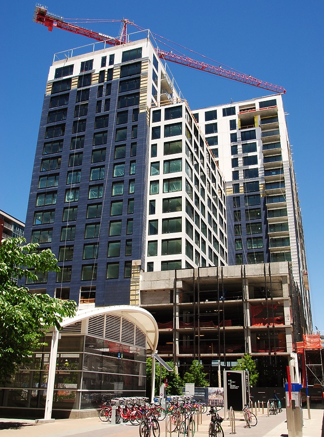 The Coloradan by Brian LoBue