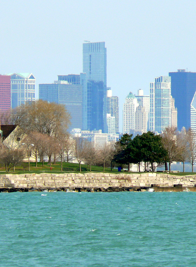 The Legacy at Millennium Park by B. Victor Adams