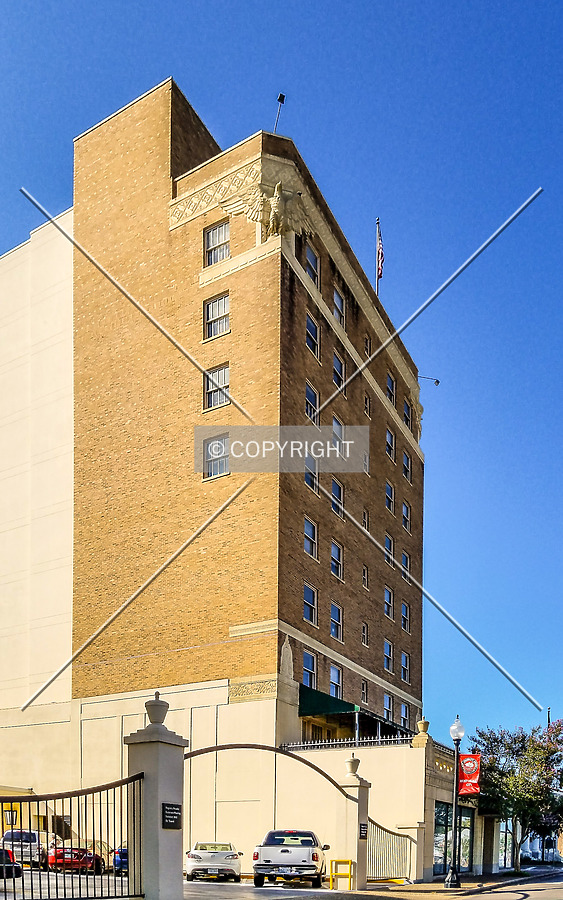 Forrest Hotel by Ryan Hildebrand