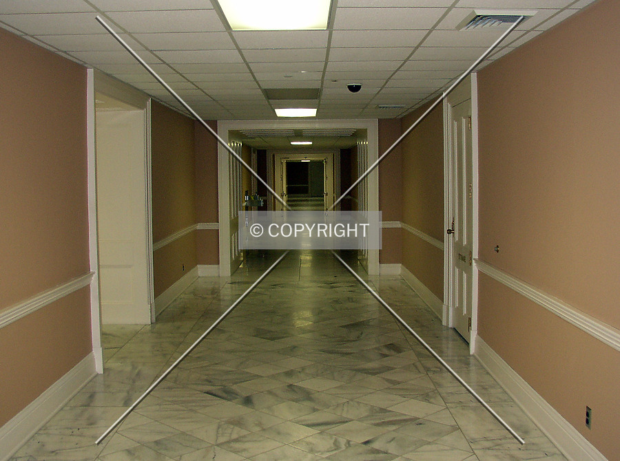 Alabama State Capitol by Chris Patriarca