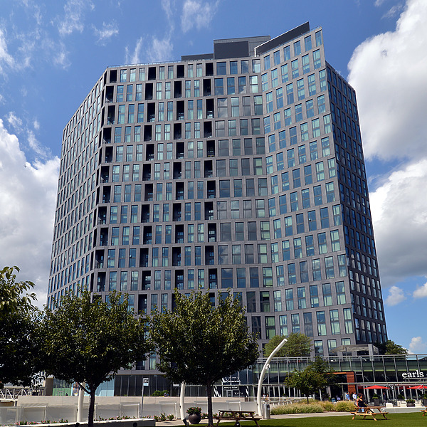 Vita by John W. Cahill