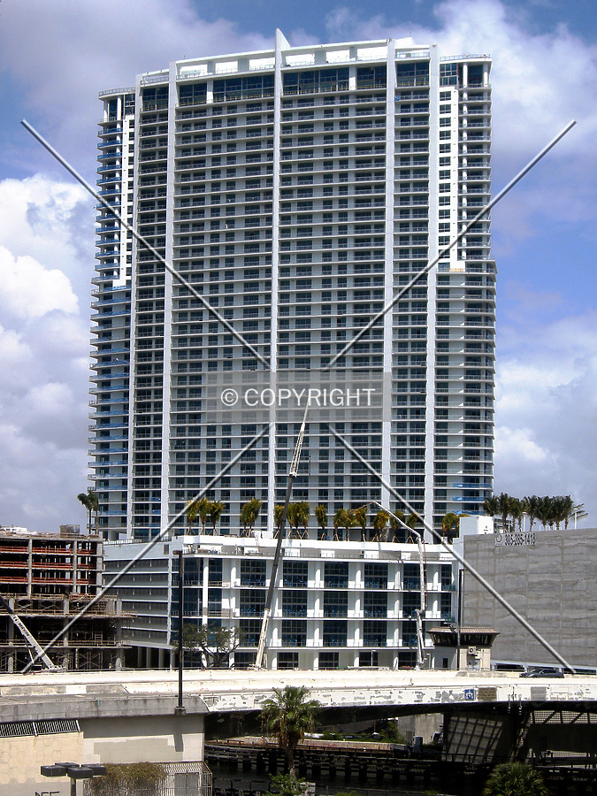 The Ivy by Jorge Molina