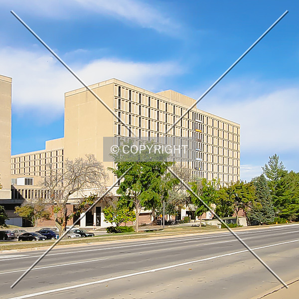 Larch Hall by Ryan Hildebrand