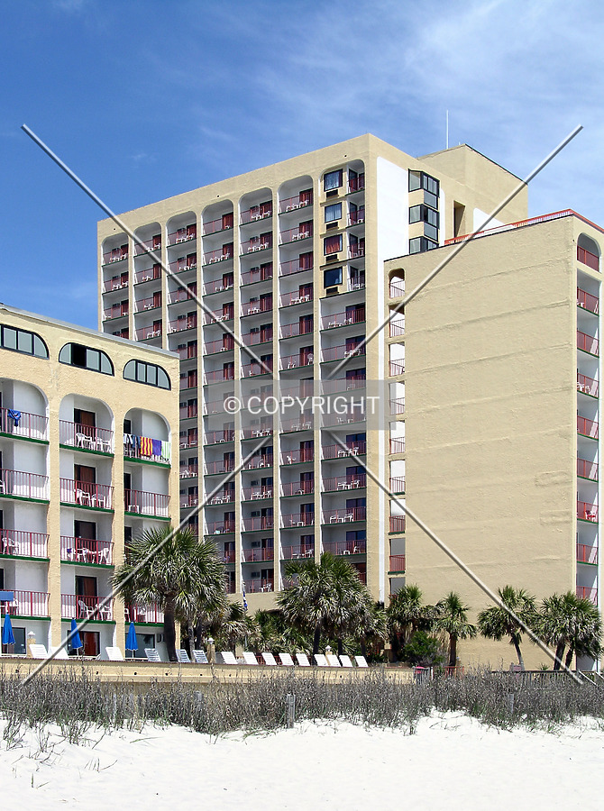 Sea Mist Resort - Driftwood by Chris Patriarca