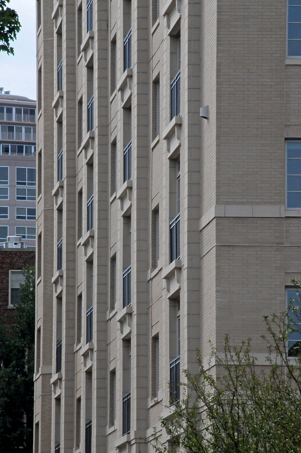 The Mather by Shawn Ursini